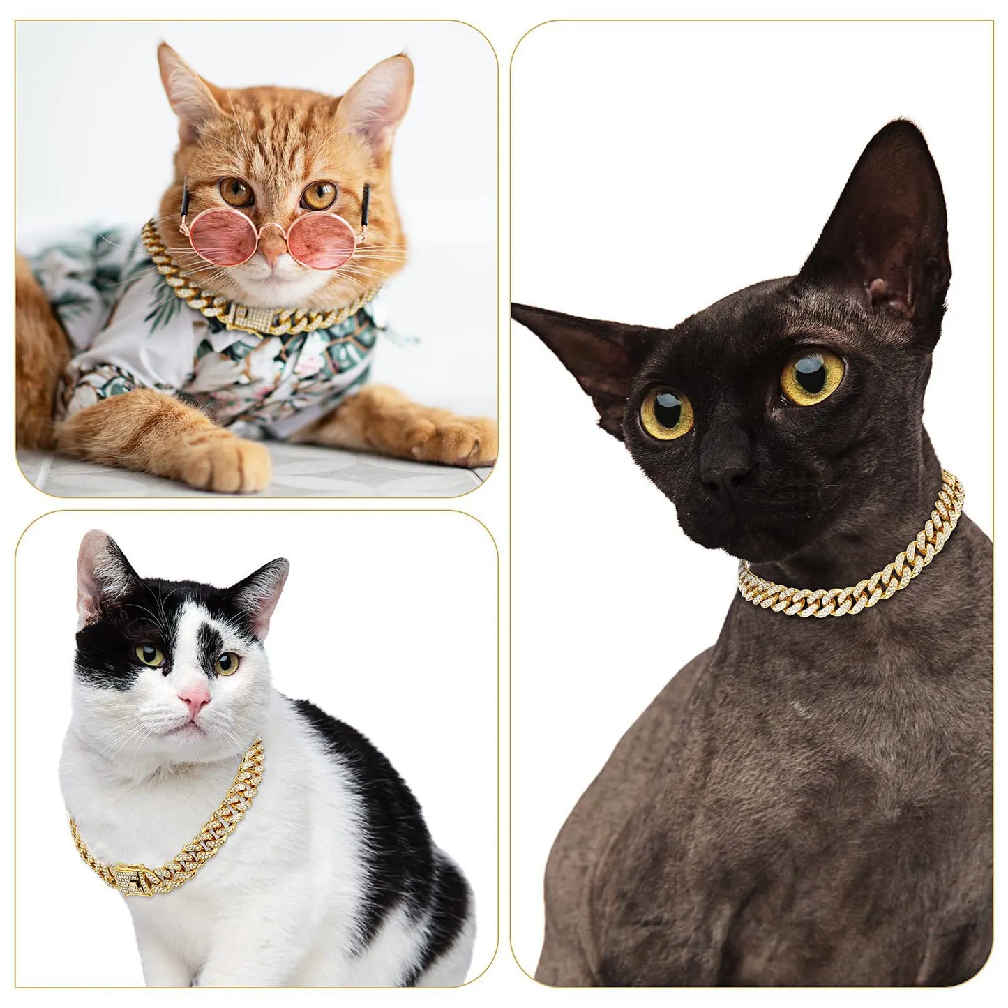 Cuban Link Diamond Pet Chain