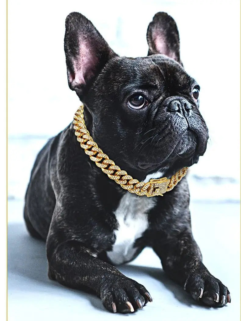Cuban Link Diamond Pet Chain