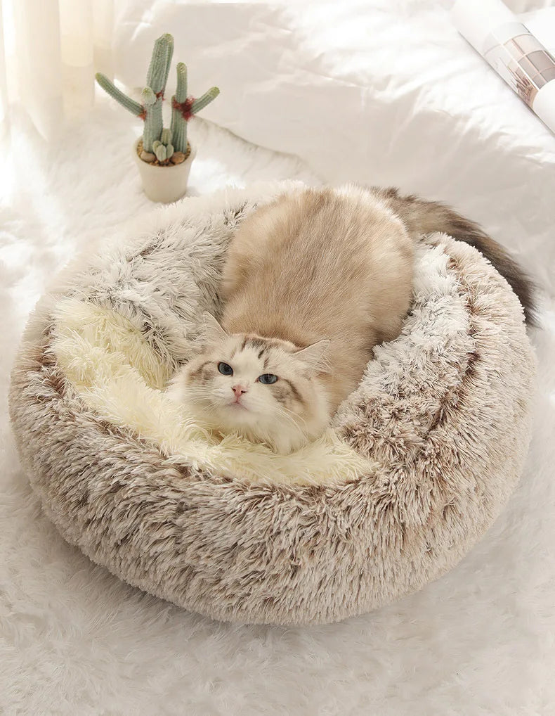 Nest For Pets