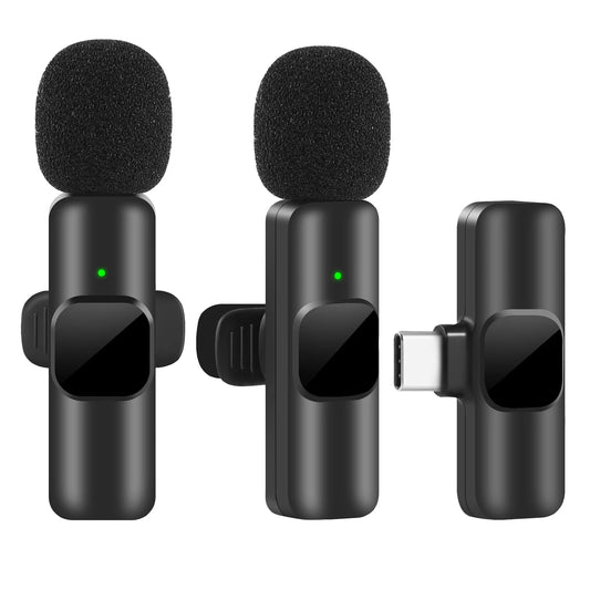 Portable Microphone