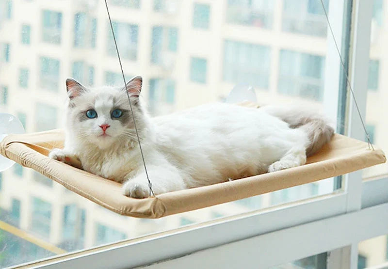 Cat Bed Hammock