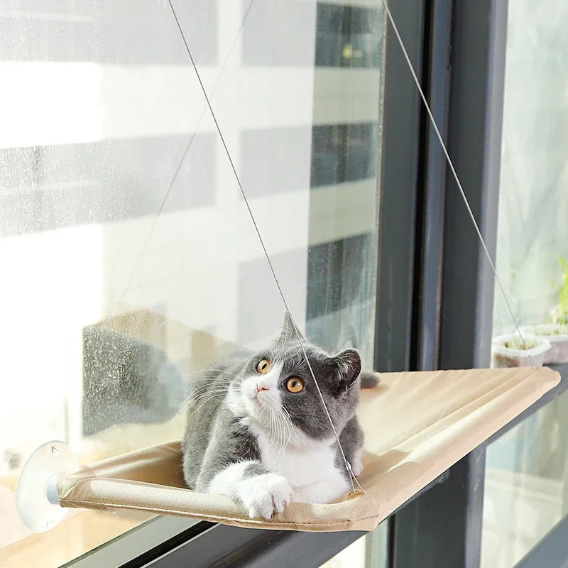 Cat Bed Hammock