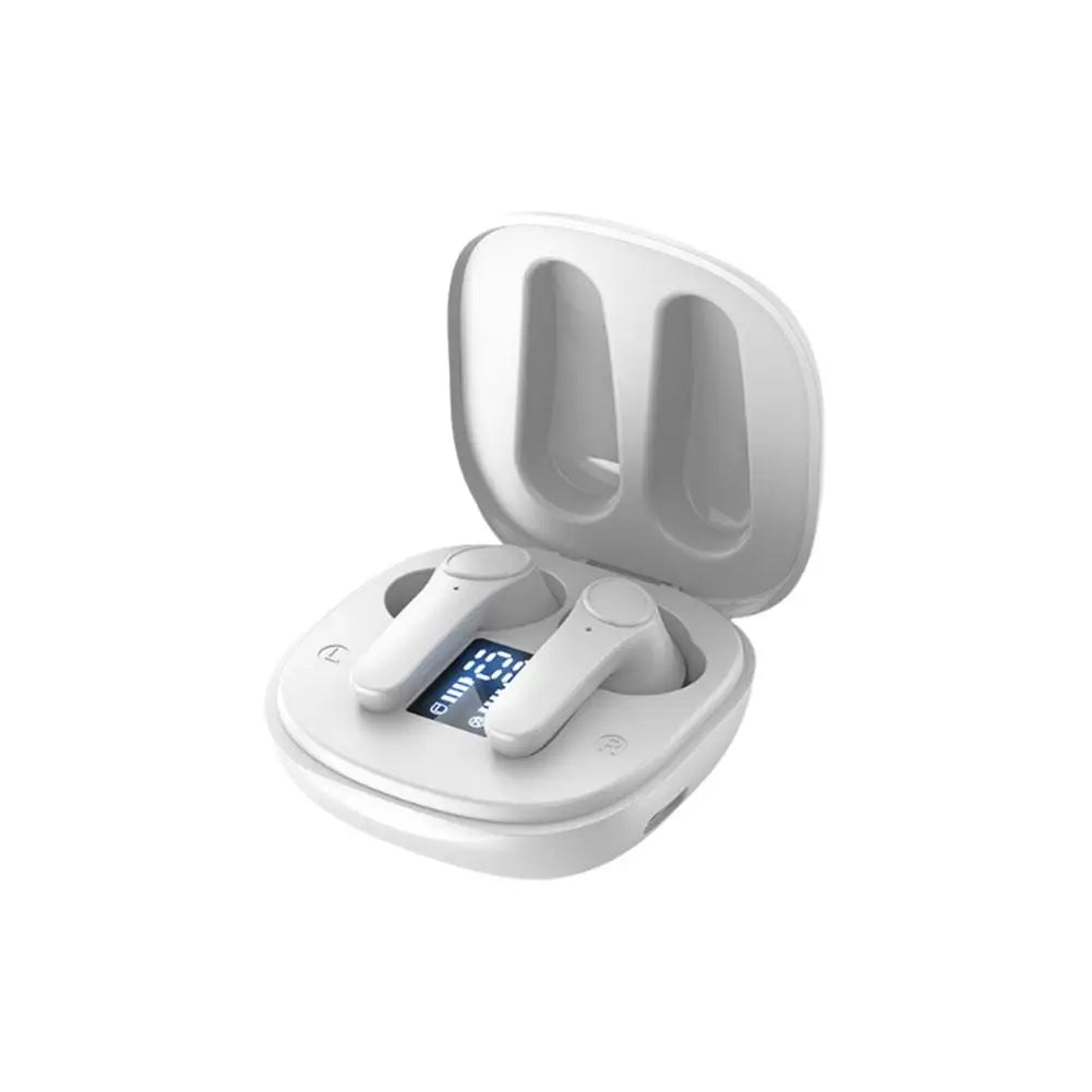 Translator Earbuds