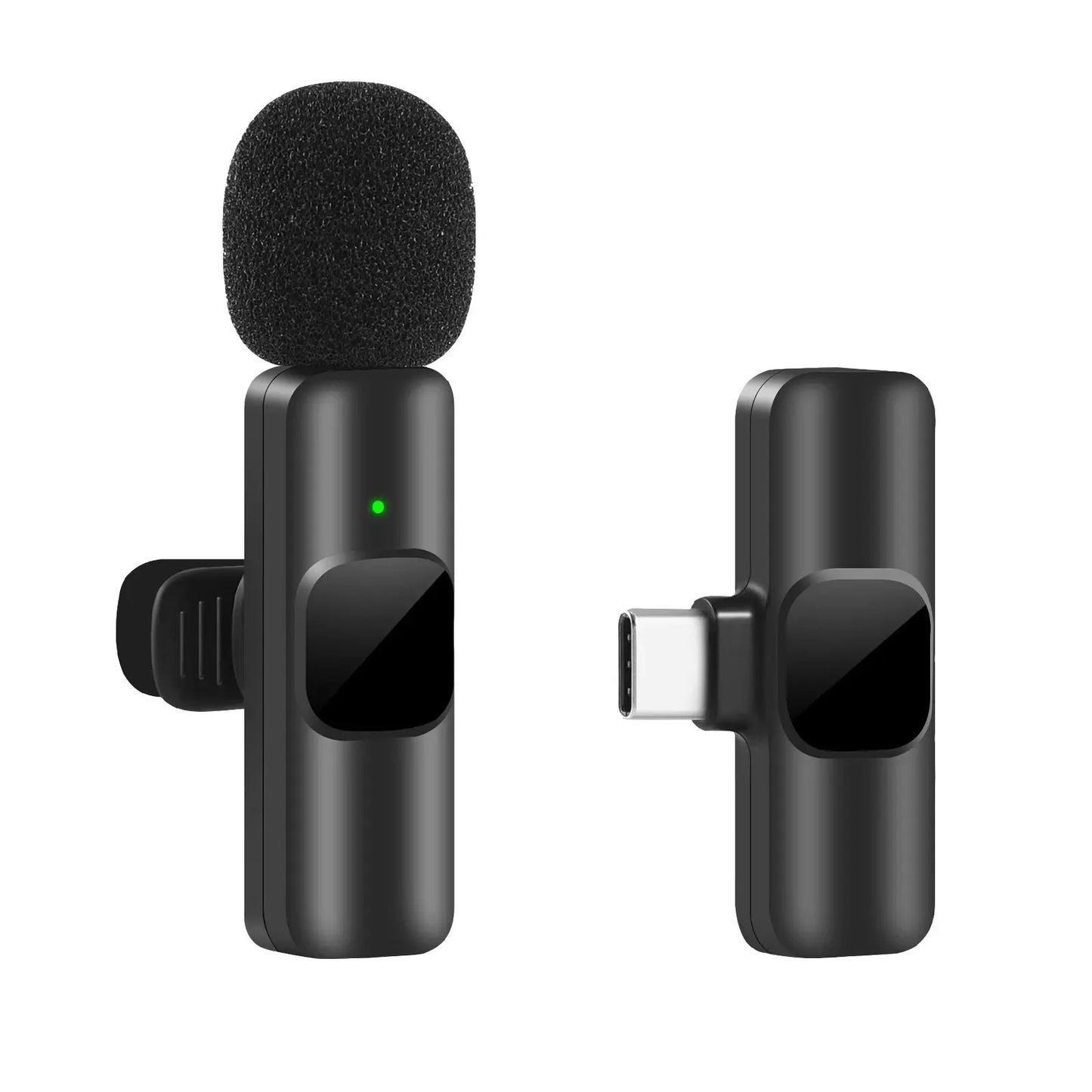 Portable Microphone