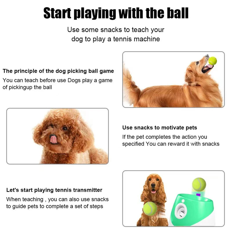 Dog Tennis Ball Launcher