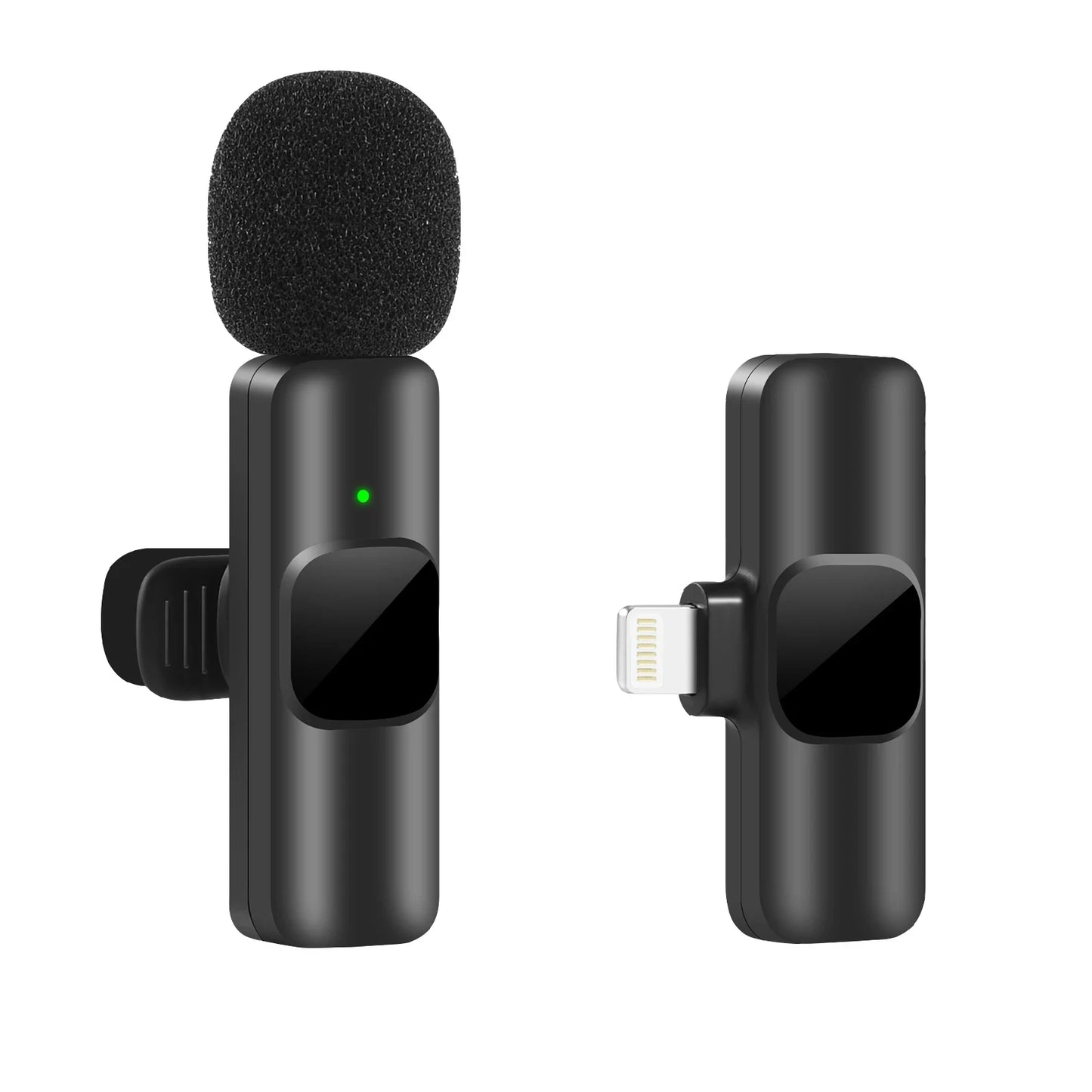 Portable Microphone